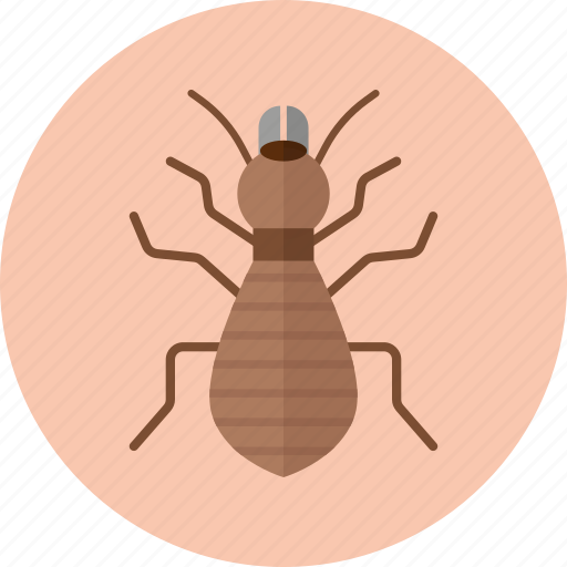 Animal, insect, termite icon - Download on Iconfinder