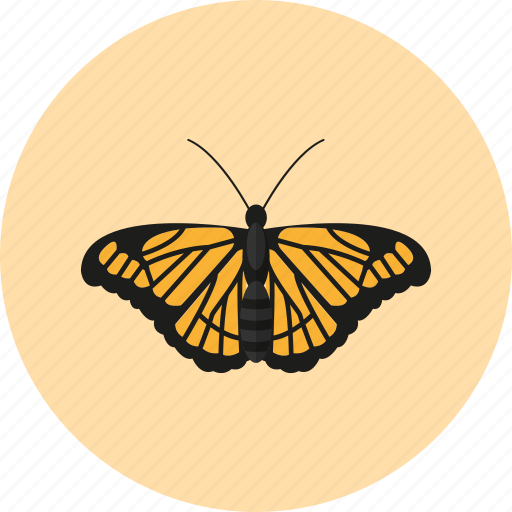 Animal, butterfly, fly, insect, nature icon - Download on Iconfinder