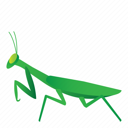 Bug, insect, mantis, mantodea icon - Download on Iconfinder