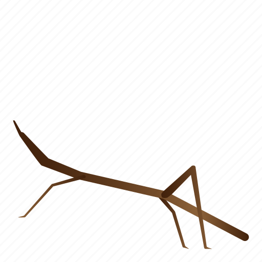 Bug, insect, phasmatodea, phasmids icon - Download on Iconfinder