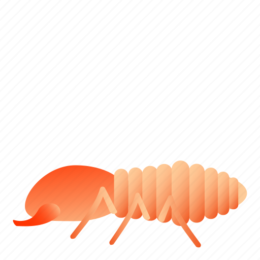 Bug, insect, isoptera, termite icon - Download on Iconfinder