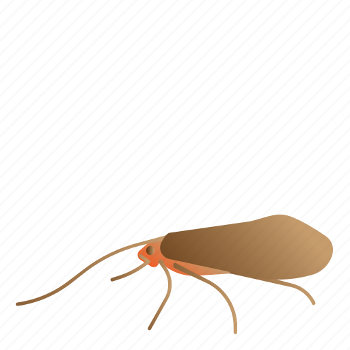 Bug, caddisflies, insect, trichoptera icon - Download on Iconfinder