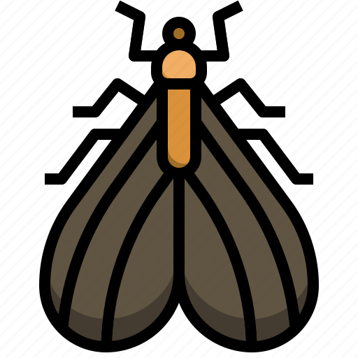 Alates, bug, flying, animals, entomology icon - Download on Iconfinder