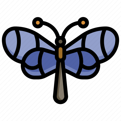 Confusa, fly, bugs, animals, insect icon - Download on Iconfinder