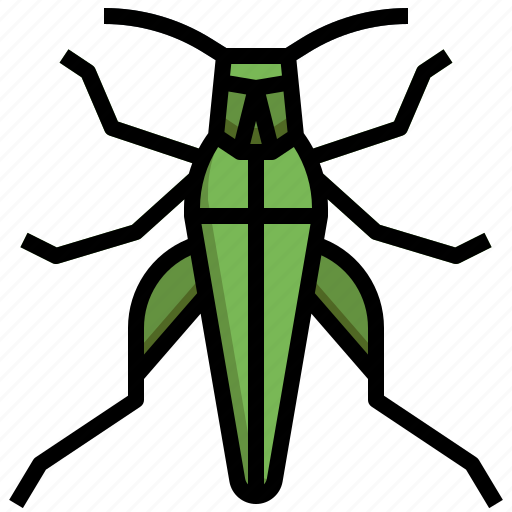 Grasshopper, seasons, bug, nature, spring, animal icon - Download on Iconfinder