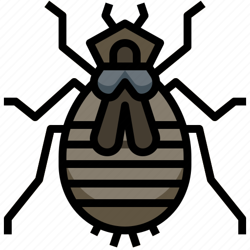 Larva, dragonfly, zoology, bugs, animals, insects icon - Download on Iconfinder