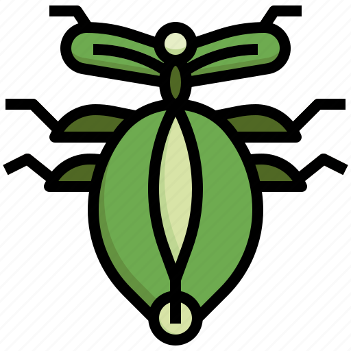Leaf, insect, ladybug, fly, animal icon - Download on Iconfinder