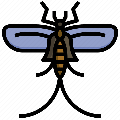Mayfly, bug, fly, entomology, insect, animal icon - Download on Iconfinder
