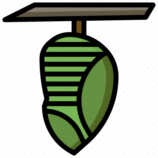Pupa, leaf, insect, bugs, animals icon - Download on Iconfinder