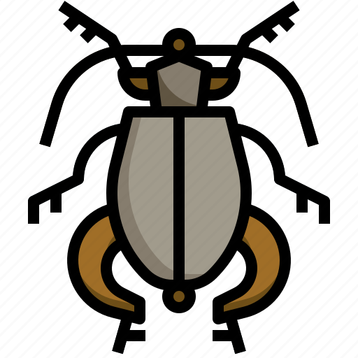 Sagra, buqueti, entomology, bug, animals, insects icon - Download on Iconfinder