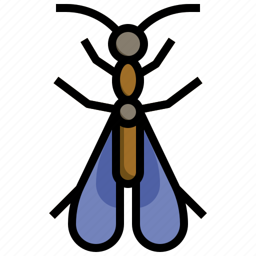 Snakefly, fly, animals, bug, entomology icon - Download on Iconfinder