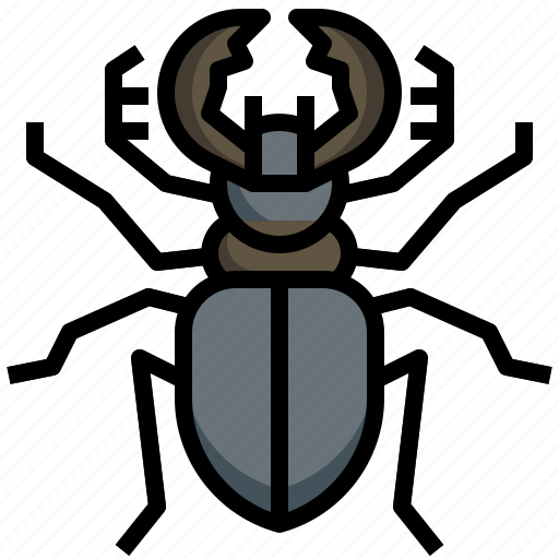 Stag, beetle, animal, kingdom, insect, animals icon - Download on Iconfinder