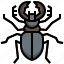 stag, beetle, animal, kingdom, insect, animals 