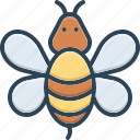 bee, bumblebee, honey, honeybee, insect, nature, wasp