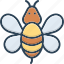 bee, bumblebee, honey, honeybee, insect, nature, wasp 