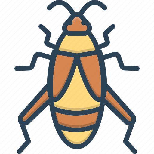 Bug, creepy, cricket, croton bug, disease, grasshopper, insect icon - Download on Iconfinder