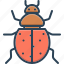 bettle, chinch, herbivore, insect, insecticide, ladybird, ladybug 