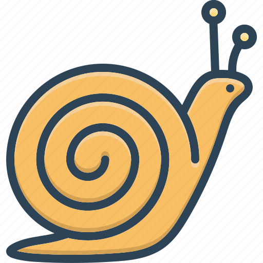 Conch, concha, gastropod, insect, marine, scrimshaw, snail icon - Download on Iconfinder