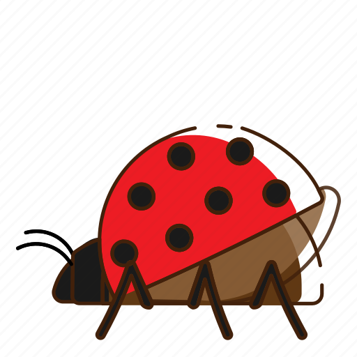 Fly, insect, ladybug icon - Download on Iconfinder