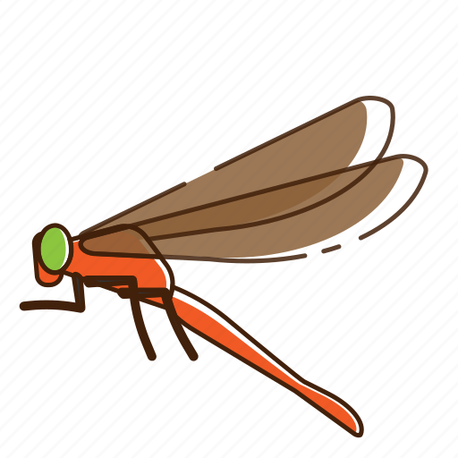 Dragonfly, fly, insect icon - Download on Iconfinder