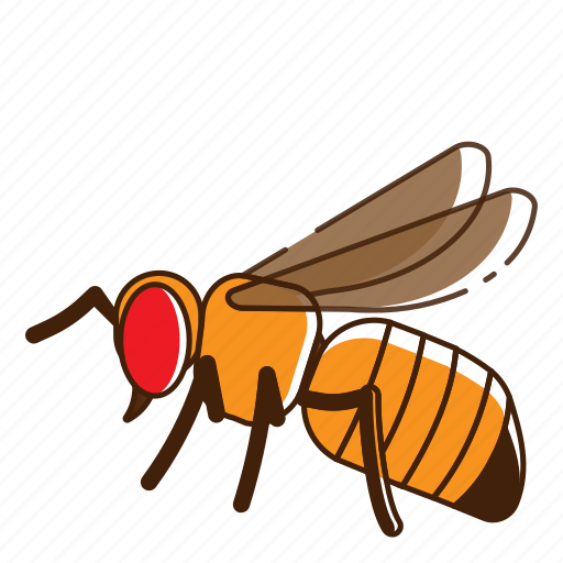 Bee, fly, honey, insect icon - Download on Iconfinder