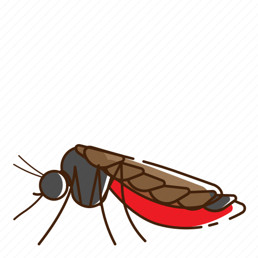 Aedes, fly, insect, mosquito icon - Download on Iconfinder