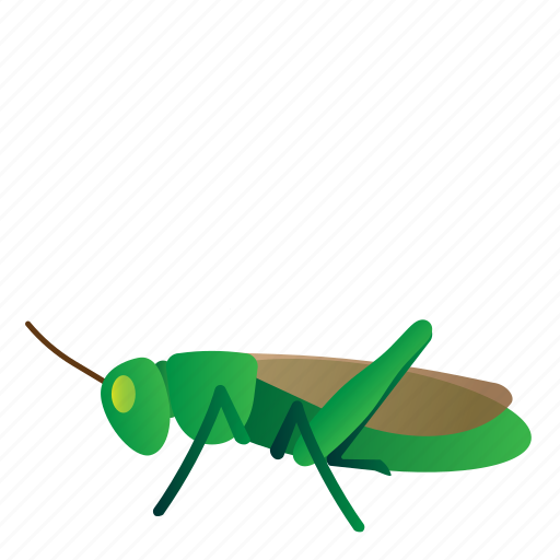 Bug, fly, grasshopper, insect, locust icon - Download on Iconfinder