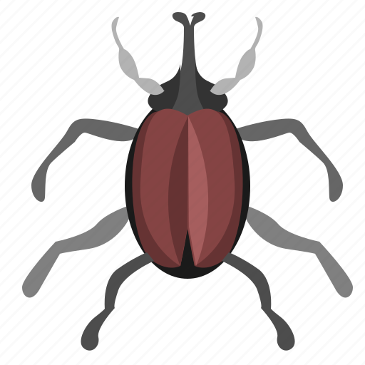 Beetle, bug, insector icon - Download on Iconfinder