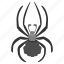 bug, insector, spider, tarantula 