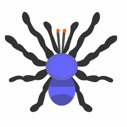 Bug, insector, spider, tarantula icon - Download on Iconfinder