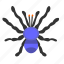 bug, insector, spider, tarantula 
