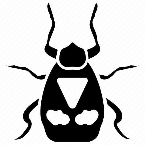 Beetle, blattaria, bug, cockroach, insect icon - Download on Iconfinder