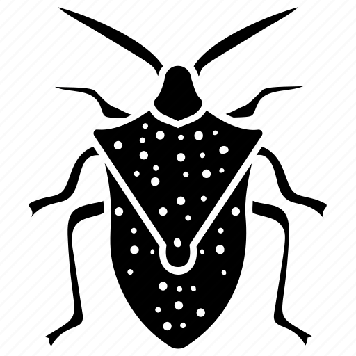 Beetle, dung beetle, insect, prejudicial insect, scarab beetle icon - Download on Iconfinder