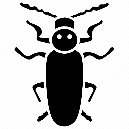 Blister beetle, dung beetle, insect, prejudicial insect, scarab beetle icon - Download on Iconfinder