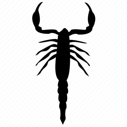 Animal, insect, invertebrates, scorpion, sting insect icon - Download on Iconfinder