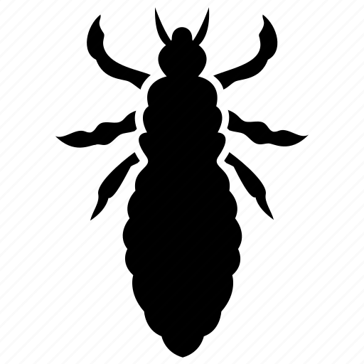 Beetle, dung beetle, insect, prejudicial insect, scarab beetle icon - Download on Iconfinder