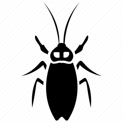 Dung beetle, insect, longhorn beetle, prejudicial insect, scarab beetle icon - Download on Iconfinder