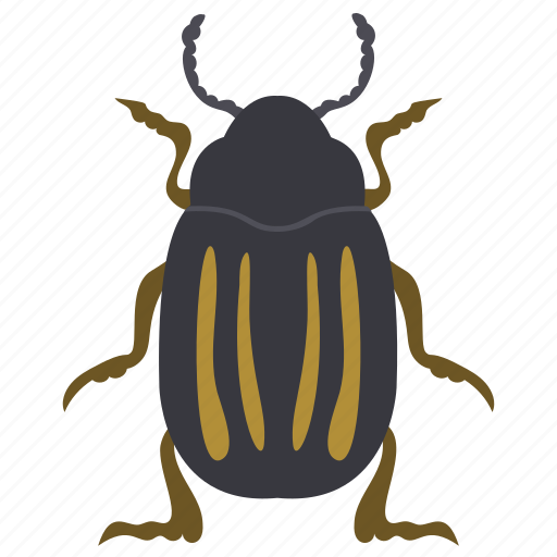 Dung beetle, insect, prejudicial insect, scarab beetle, weevil beetle icon - Download on Iconfinder