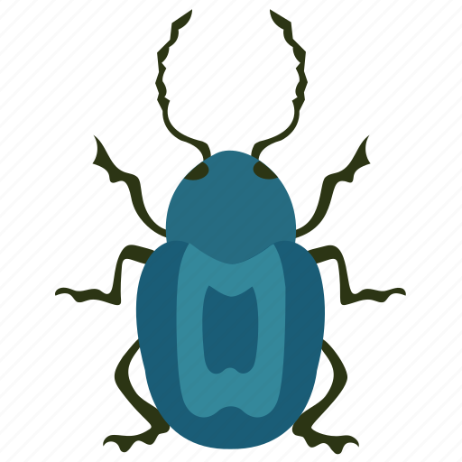 Dung beetle, insect, prejudicial insect, scarab beetle, stag beetle icon - Download on Iconfinder
