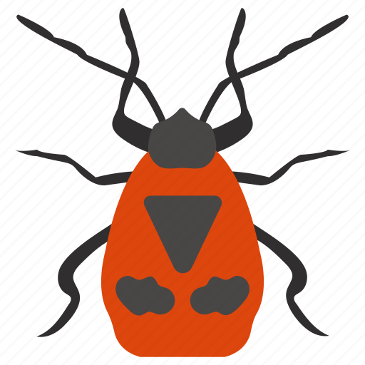 Beetle, blattaria, bug, cockroach, insect icon - Download on Iconfinder