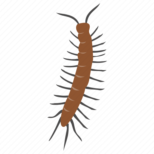 Caterpillar, centipede, harmful insect, insect, pest icon - Download on Iconfinder