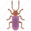dung beetle, insect, prejudicial insect, scarab beetle, weevil beetle 