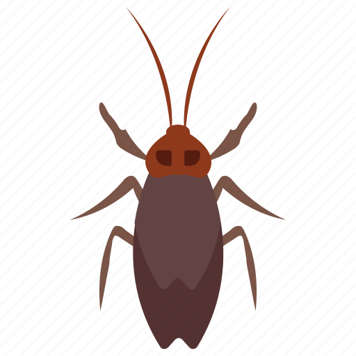 Dung beetle, insect, longhorn beetle, prejudicial insect, scarab beetle icon - Download on Iconfinder