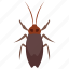dung beetle, insect, longhorn beetle, prejudicial insect, scarab beetle 
