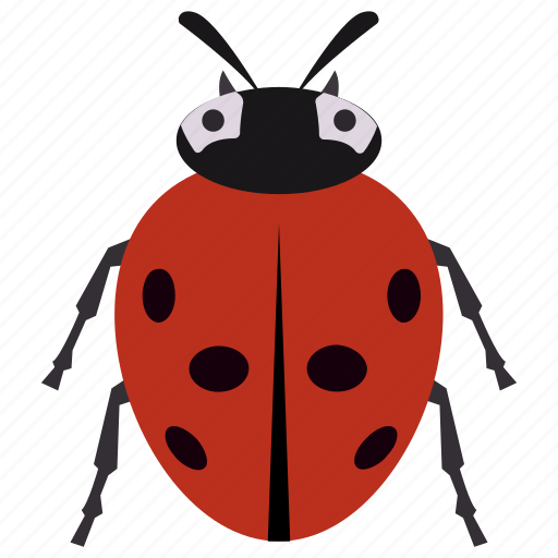 Beetle, insect, ladybug, redbud, shield bug icon - Download on Iconfinder
