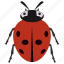 beetle, insect, ladybug, redbud, shield bug 
