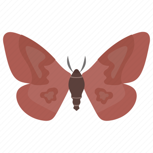 Butterfly, fly, insect, moth, springtime animal icon - Download on Iconfinder