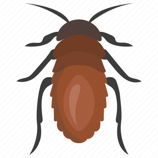Bed bug, beetle, insect, ladybug, shield bug icon - Download on Iconfinder