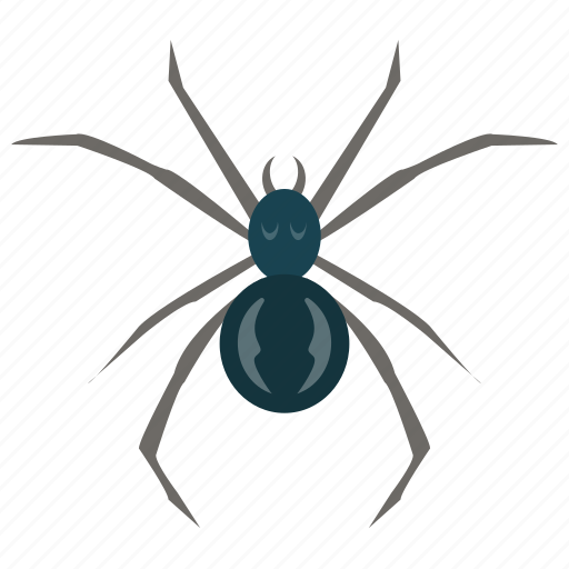 Animal, arachnid, bug, insect, spider icon - Download on Iconfinder