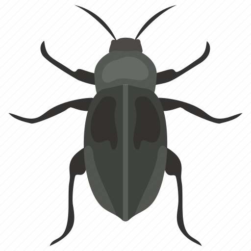 Beetle, dor bug, insect, ladybug, shield bug icon - Download on Iconfinder